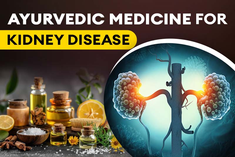 Ayurvedic Medicine for Kidney Disease